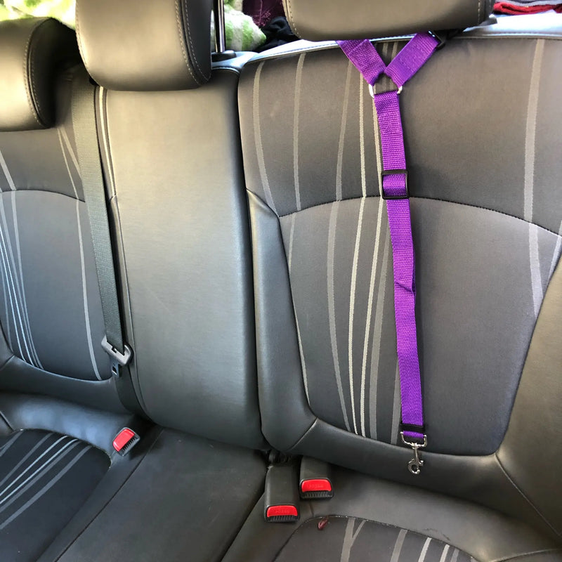 Pet Car Seat Belt Nylon