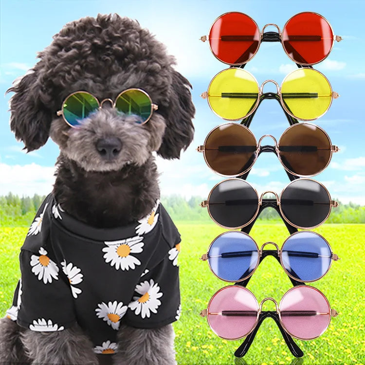 Handsome Pet Cat Glasses Eye-wear Retro