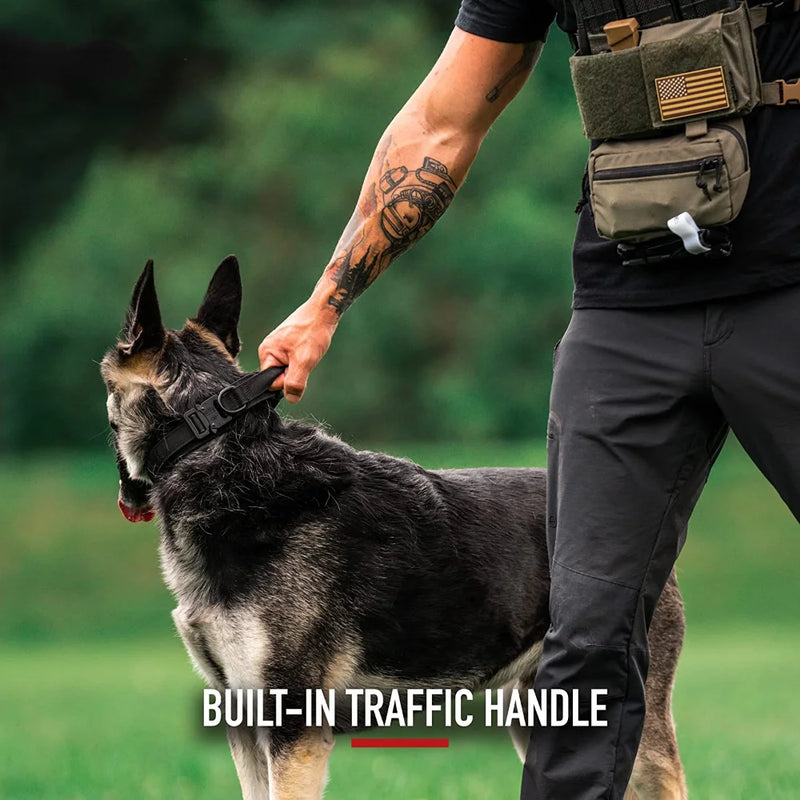 Dog Collar and Leash Set Tactical Style