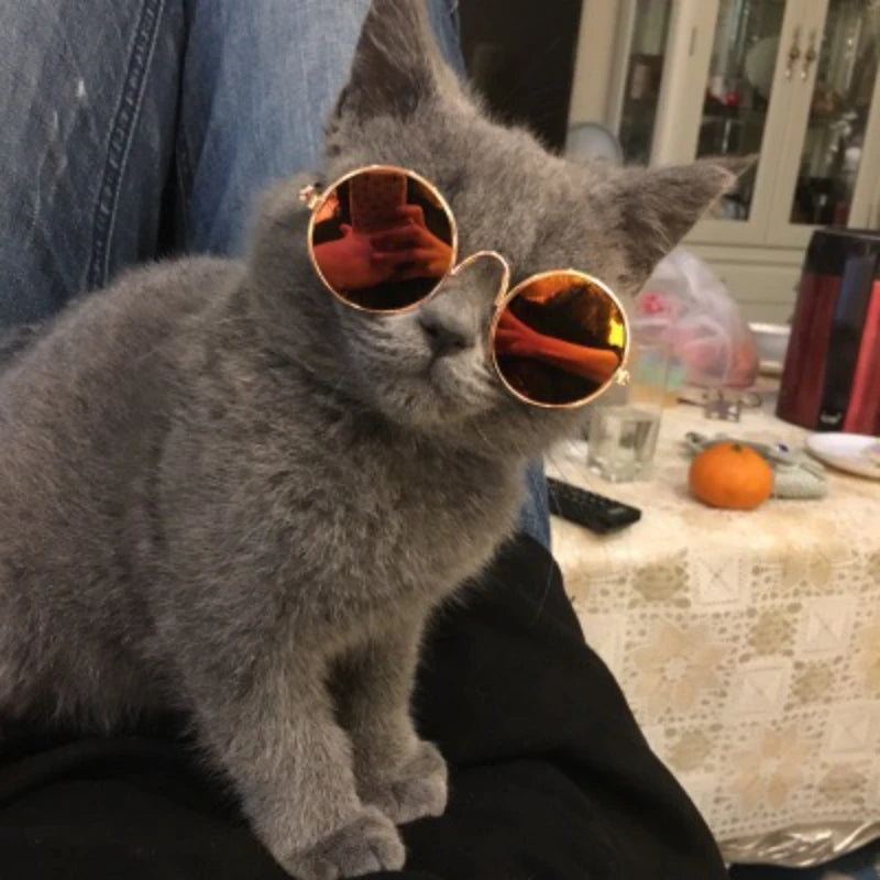 Handsome Pet Cat Glasses Eye-wear Retro