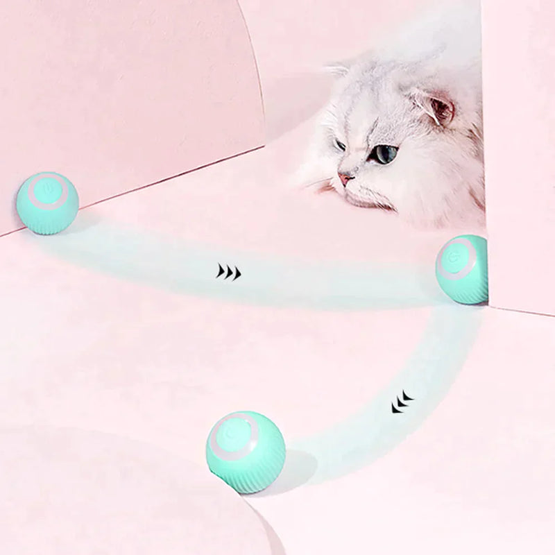 Interactive ball for cats